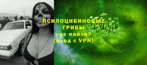 МДПВ Абаза