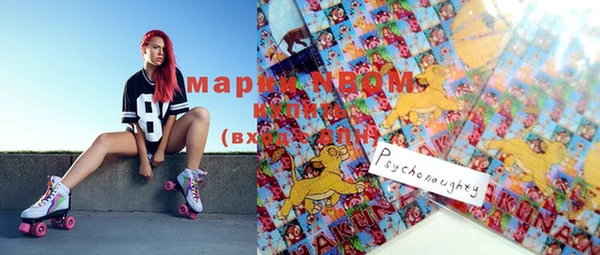 МДПВ Абаза